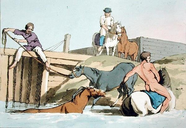 Fürdőlovak, a művész által metszett, 1803-ban megjelent (színes litó) alkotó: John Augustus Atkinson