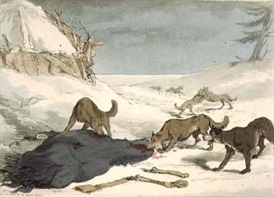 A farkasvadászat, 74. tábla az "Az oroszok szokásai, szokásai és szórakozásai" III. kötetéből, a művész metszete, kiad. 1804 (akvatinta) alkotó: John Augustus Atkinson