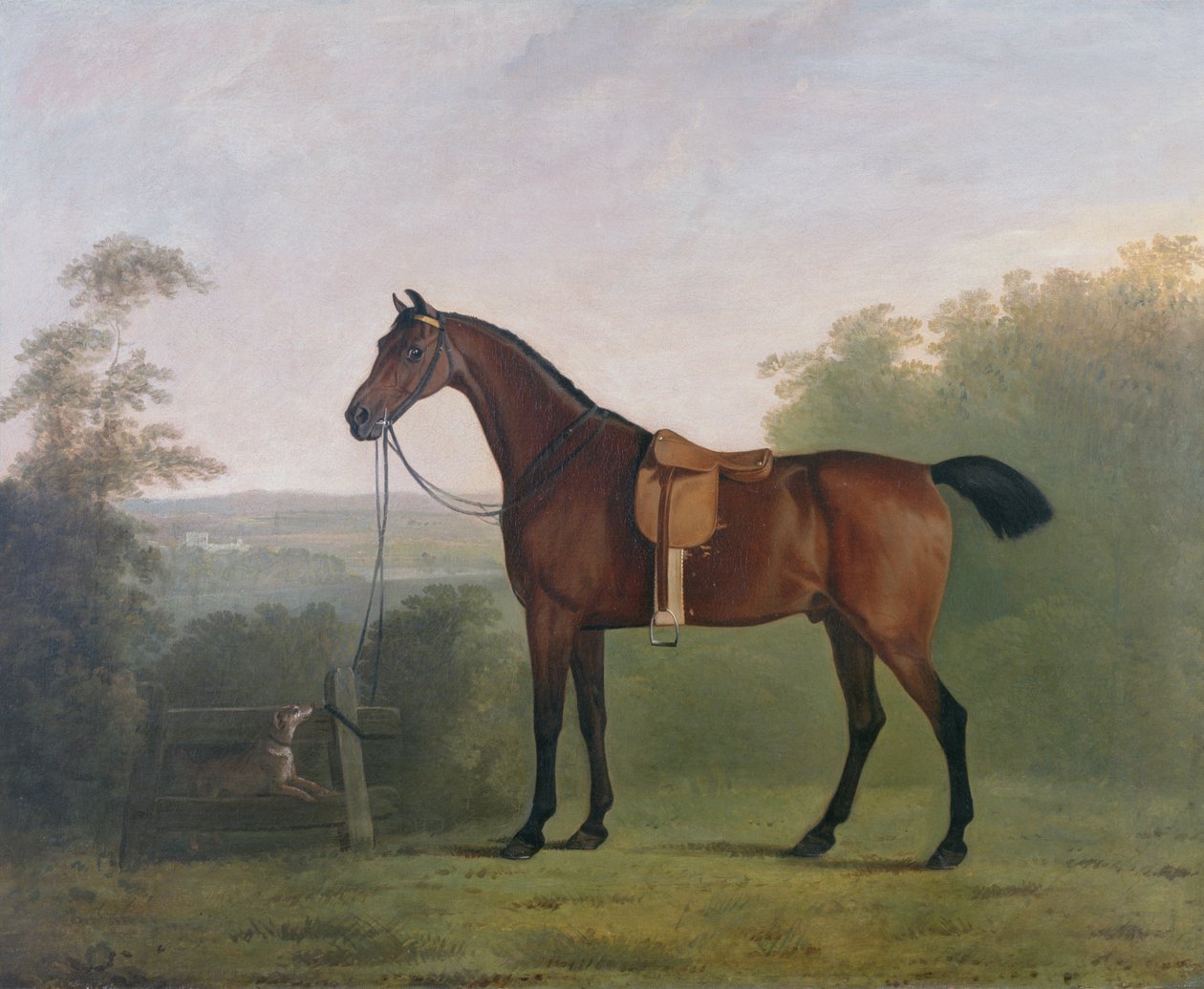 Egy Bay Hunter egy tájban alkotó: John Boultbee