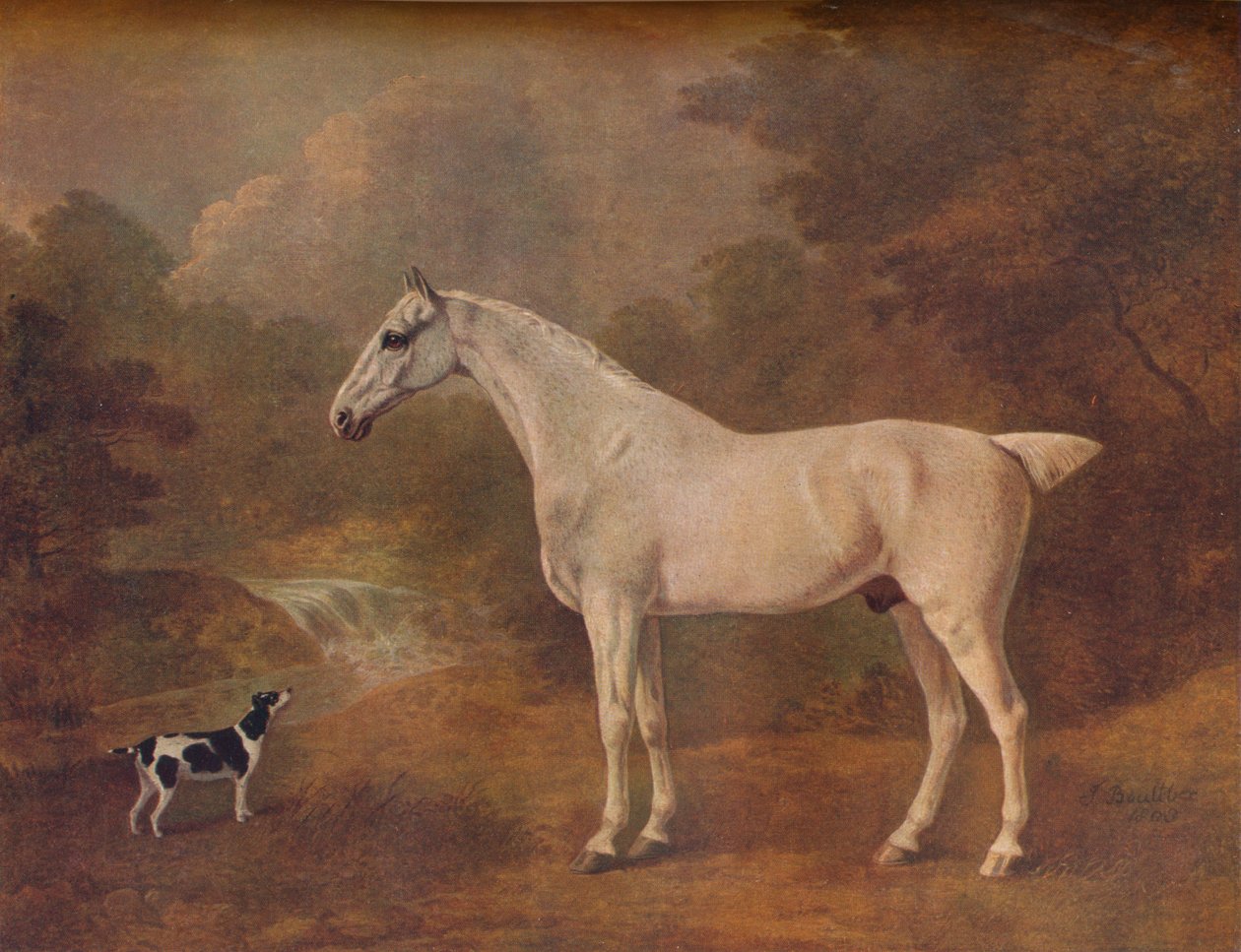 Egy bolhacsípés szürke és egy foltos terrier, 1803. alkotó: John Boultbee