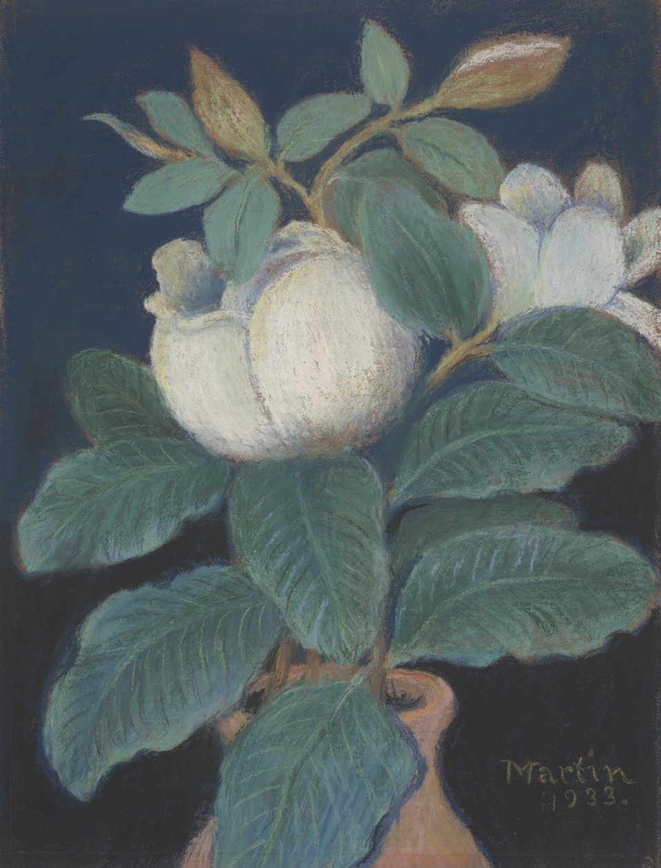 Magnóliavirágok, 1933 alkotó: John Breckinridge Martin