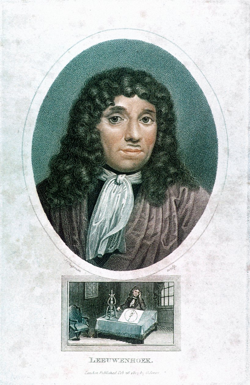 Anton van Leeuwenhoek 1632-1723, holland mikroszkopikus, 1810 alkotó: John Chapman