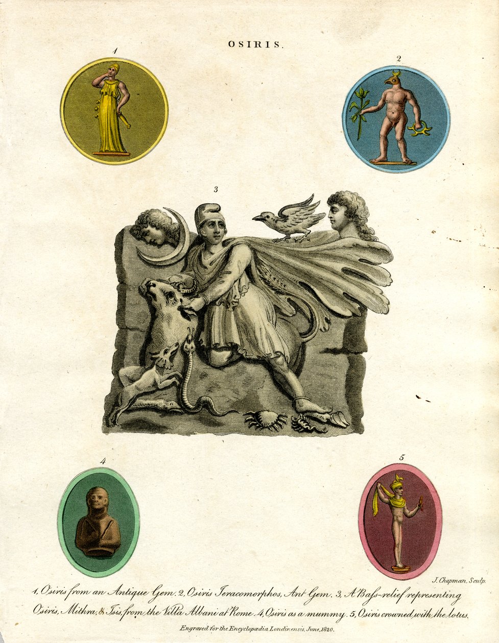  alkotó: John Chapman