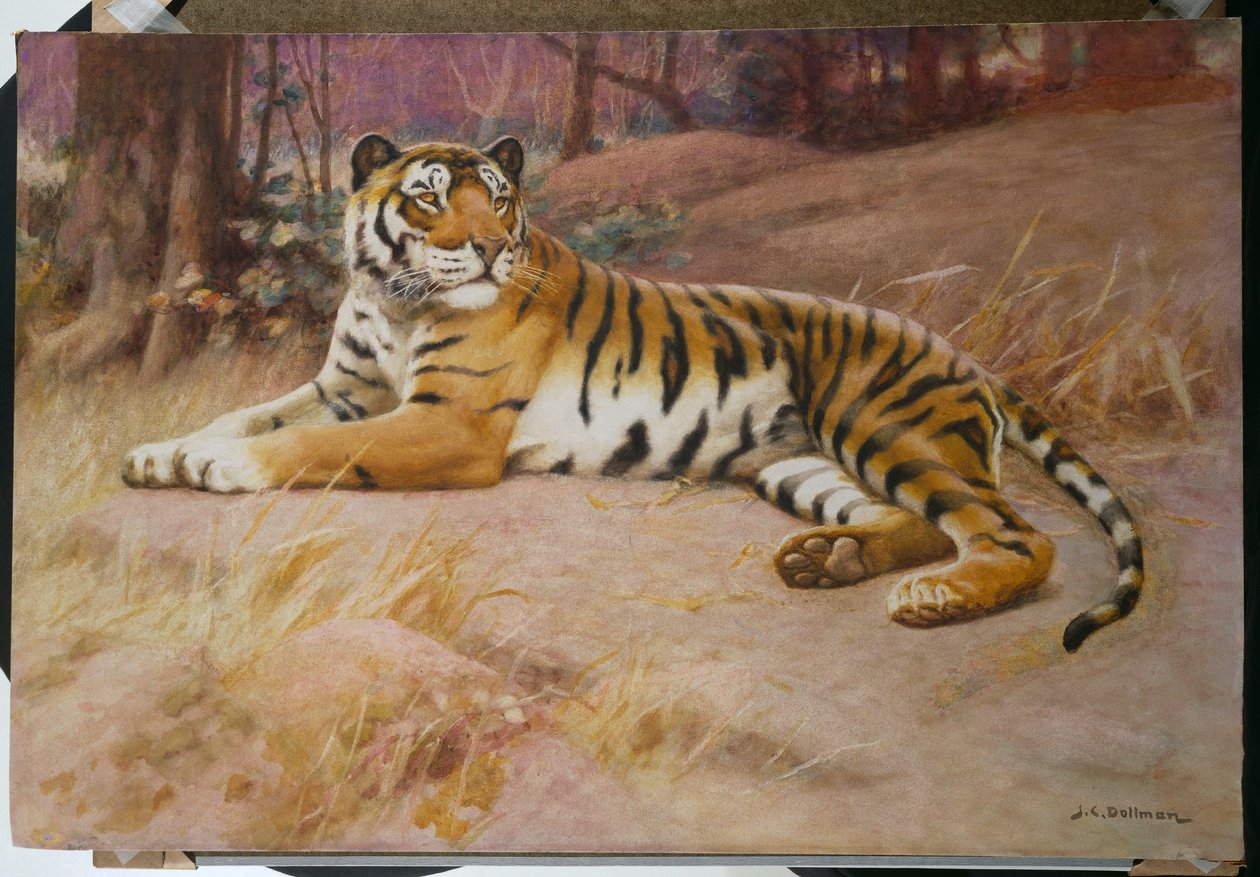 A tigris alkotó: John Charles Dollman