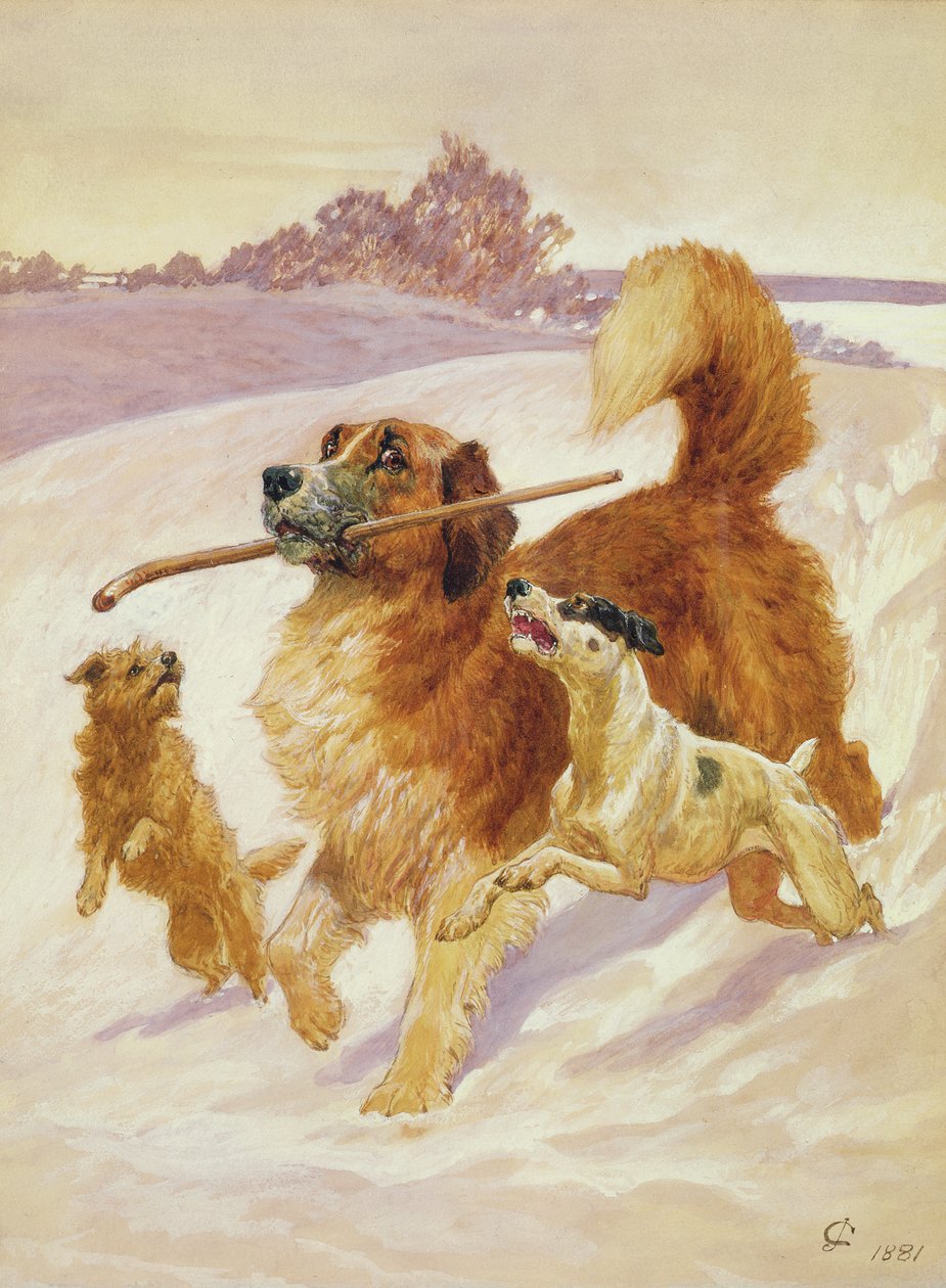 Három kutya játszik a hóban, 1881 alkotó: John Charlton