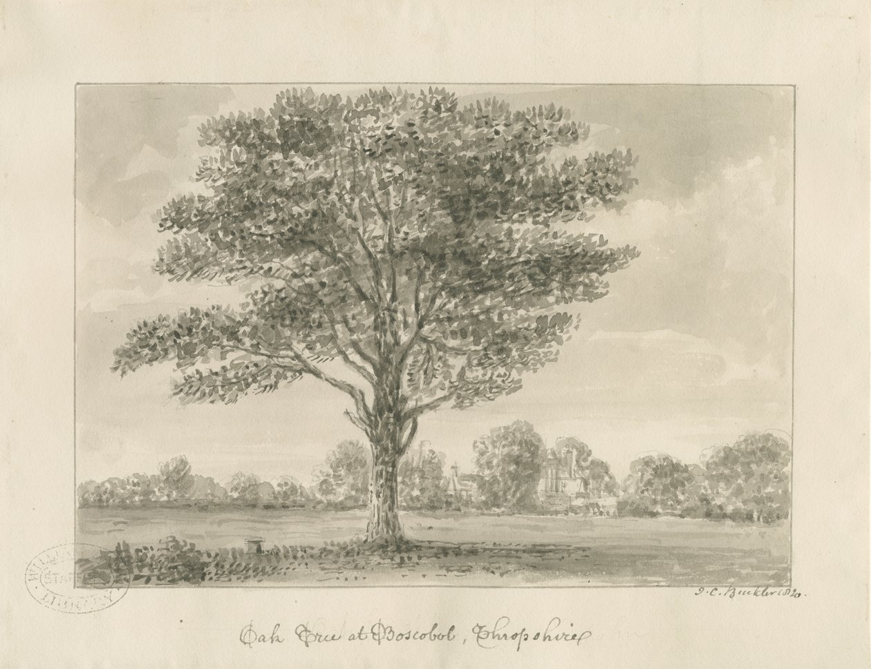 Boscobel – A királyi tölgy: szépia rajz, 1820 alkotó: John Chessell Buckler
