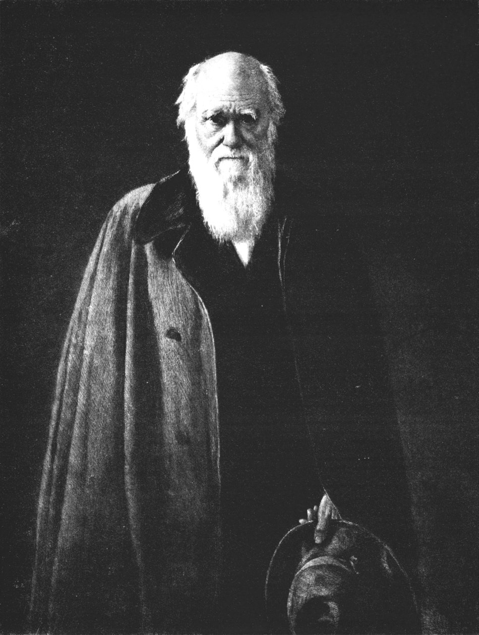 Charles Darwin 1809-1882, 1883, 1912 alkotó: John Collier