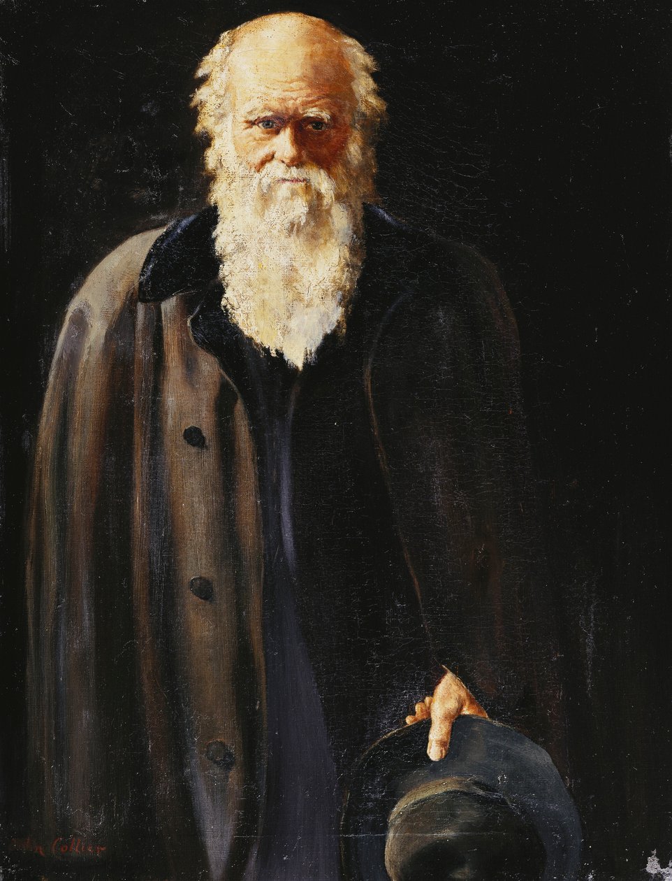 Charles Darwin háromnegyed hosszúságú portréja, 1897 alkotó: John Collier