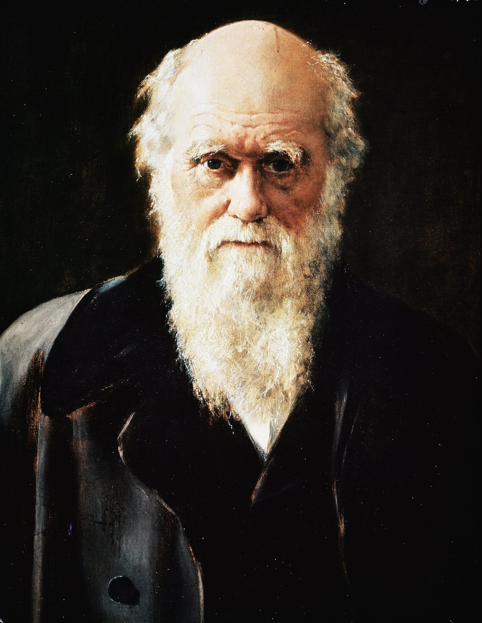 Charles Darwin angol természettudós portréja, részlet (olaj, vászon alkotó: John Collier