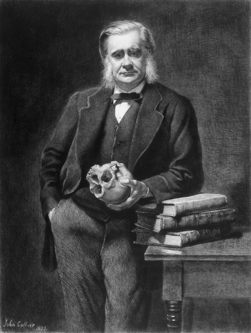 Thomas Henry Huxley (1825-95) Leopold Flameng (1831-1911) metszet, 1885 alkotó: John Collier