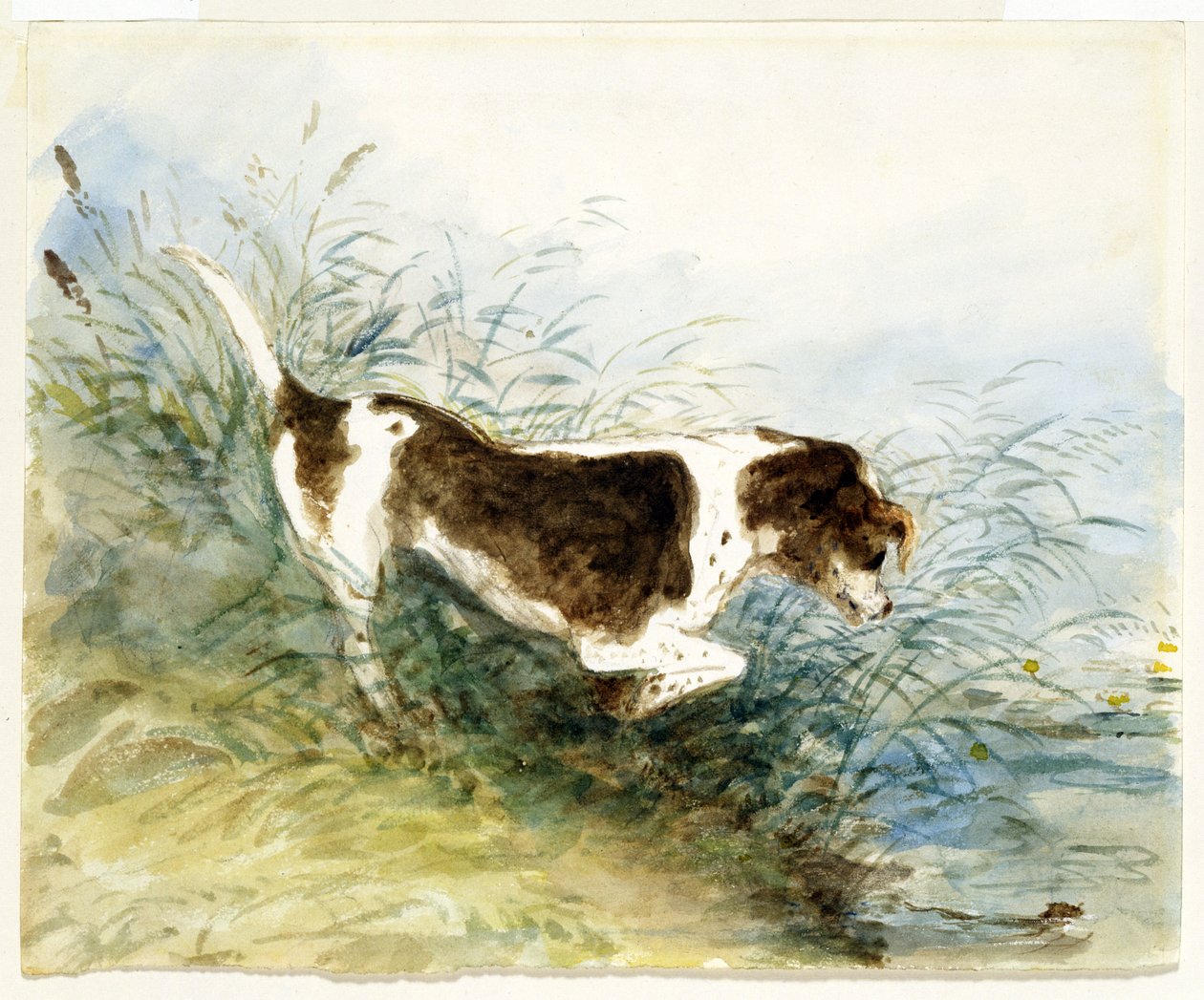 Kutya, aki patkányt néz a vízben – Dedham, 1831-ben festve alkotó: John Constable