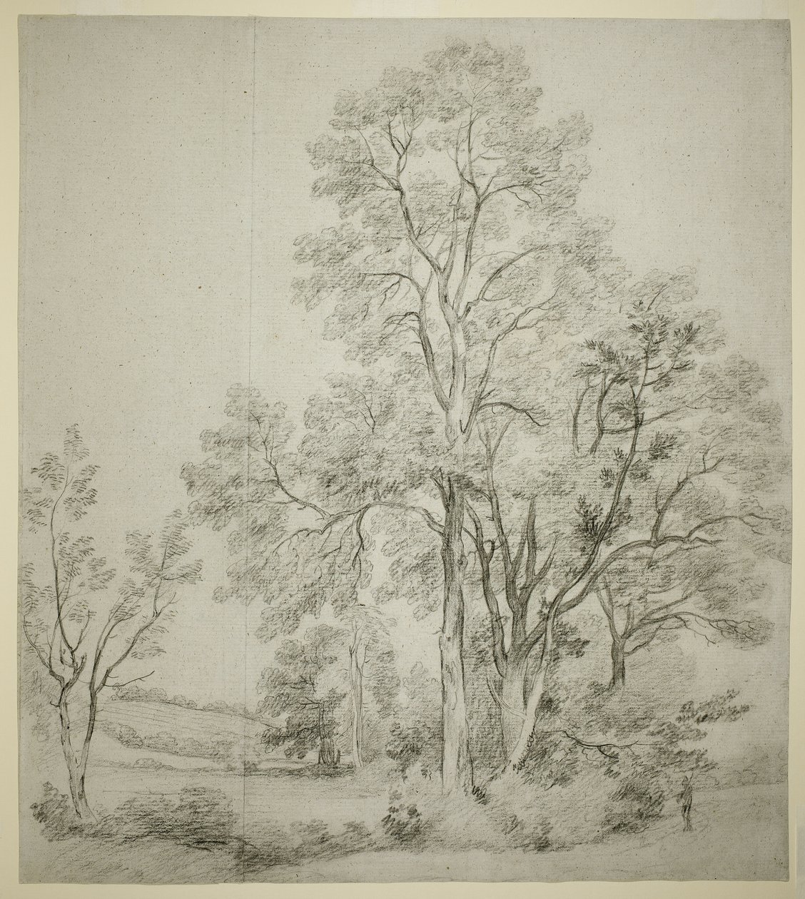 Szilfa-állomány (recto); Kelet-Bergholt tanulmánya az egyházzal (verso) alkotó: John Constable