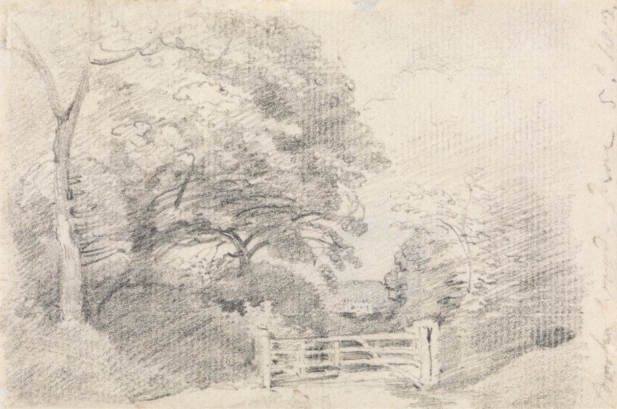 Coombe Wood alkotó: John Constable