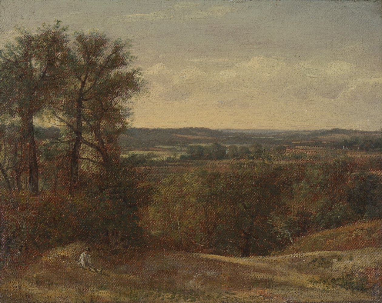 Dadham Wale alkotó: John Constable