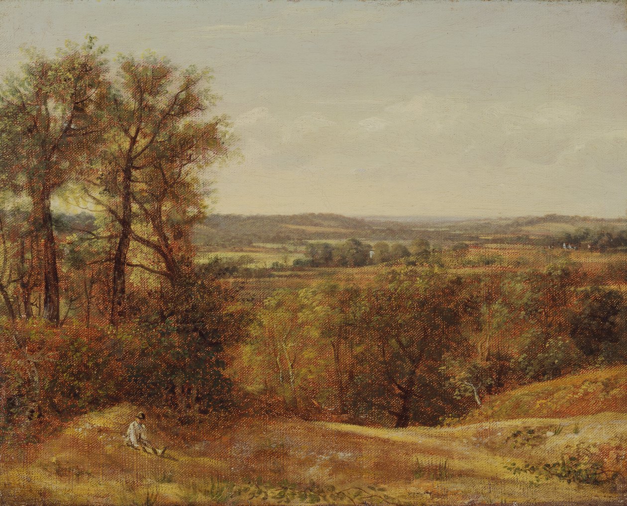Dadham Wale, 1802. alkotó: John Constable