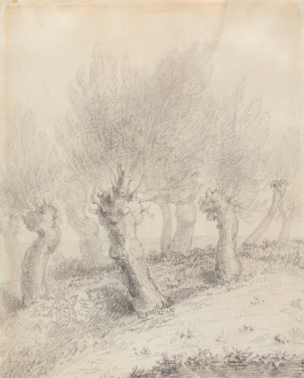 Metszett fűzfák alkotó: John Constable