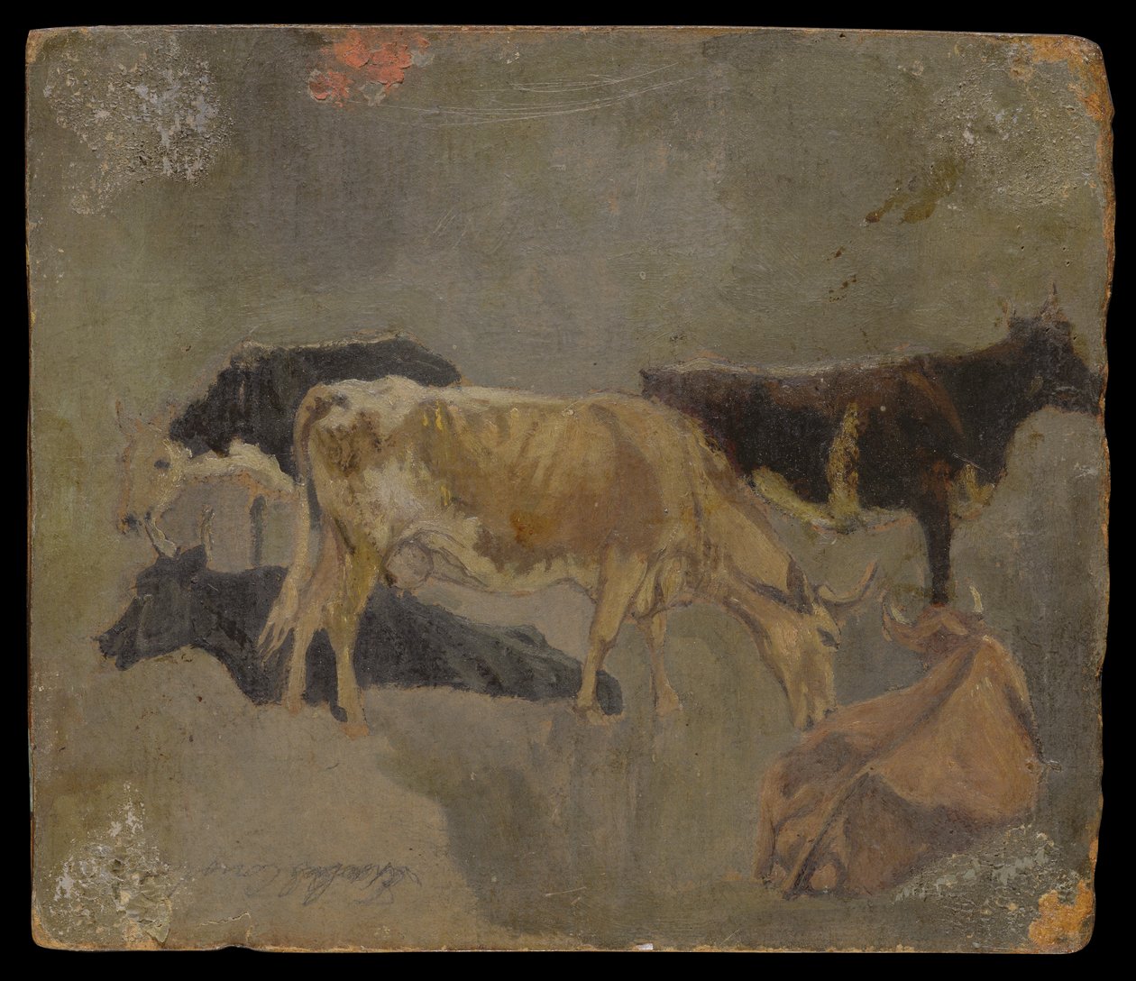Vizsgálat ötszarvú szarvasmarháról (verso) (olaj malomdeszkán) alkotó: John Constable
