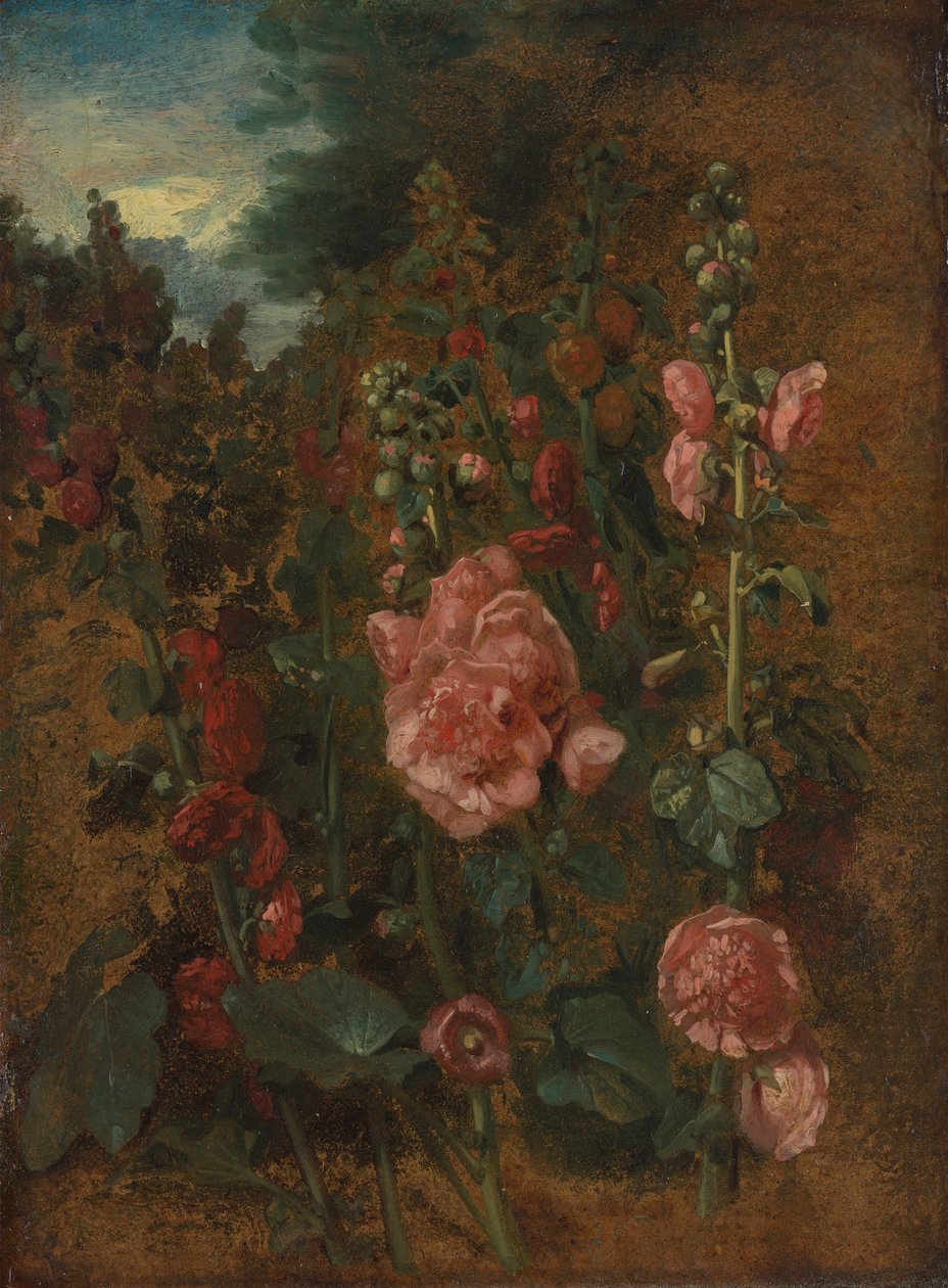 Tanulmány a hollyhocksról alkotó: John Constable