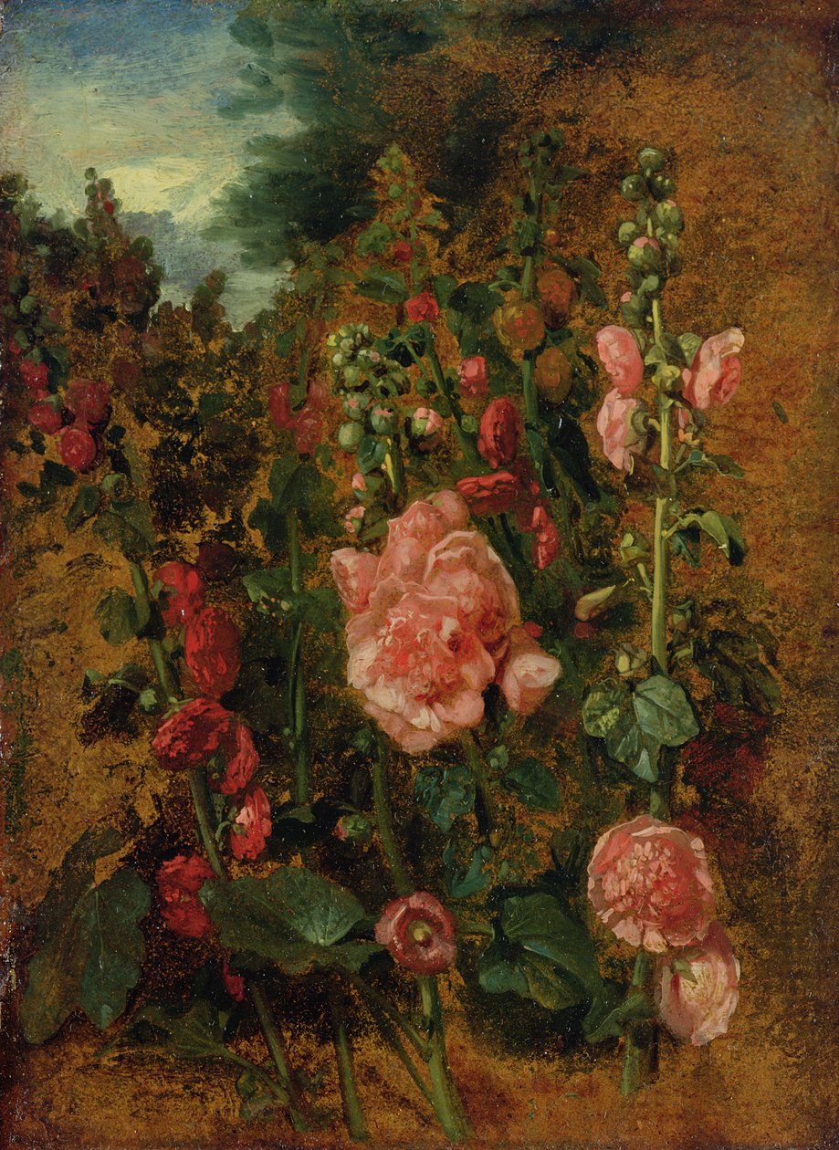 Tanulmány a Hollyhocksról, 1826 körül alkotó: John Constable