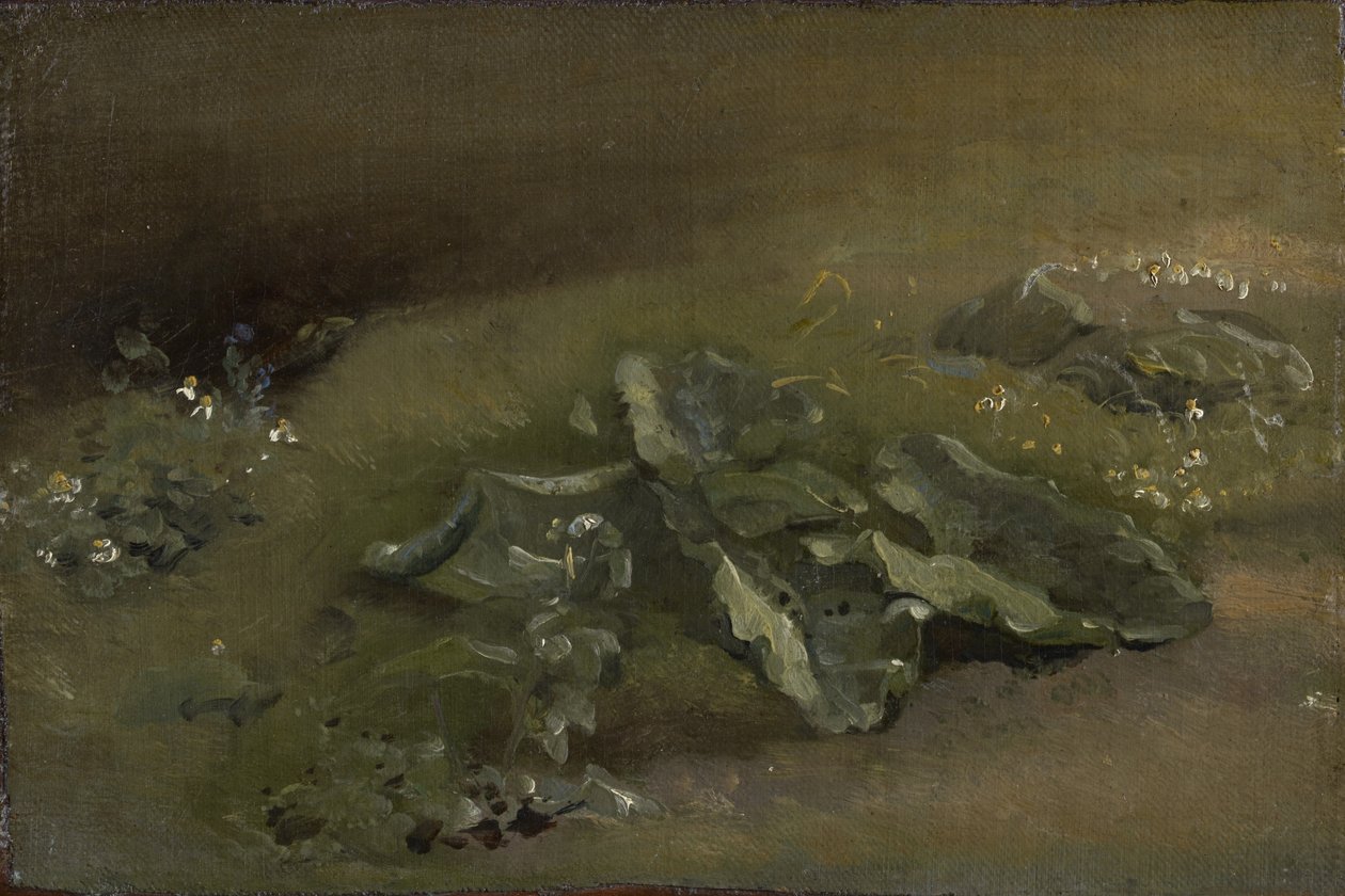 Tanulmány egy bojtorjánról, 1810-14 vagy 1828 körül alkotó: John Constable