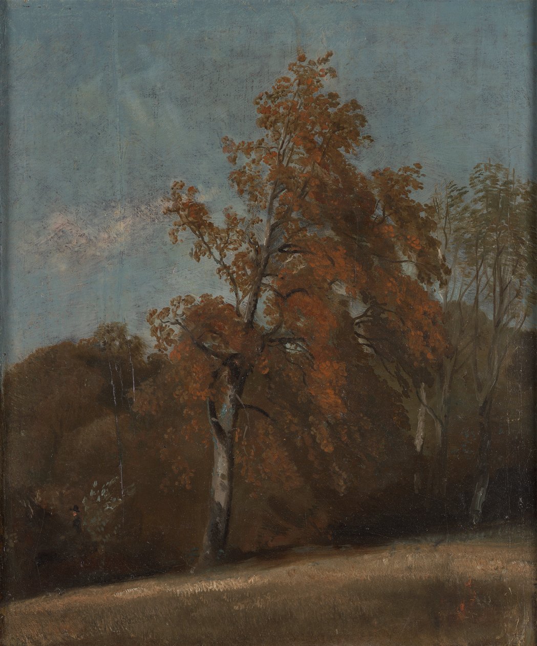 Egy kőrisfa tanulmányozása alkotó: John Constable