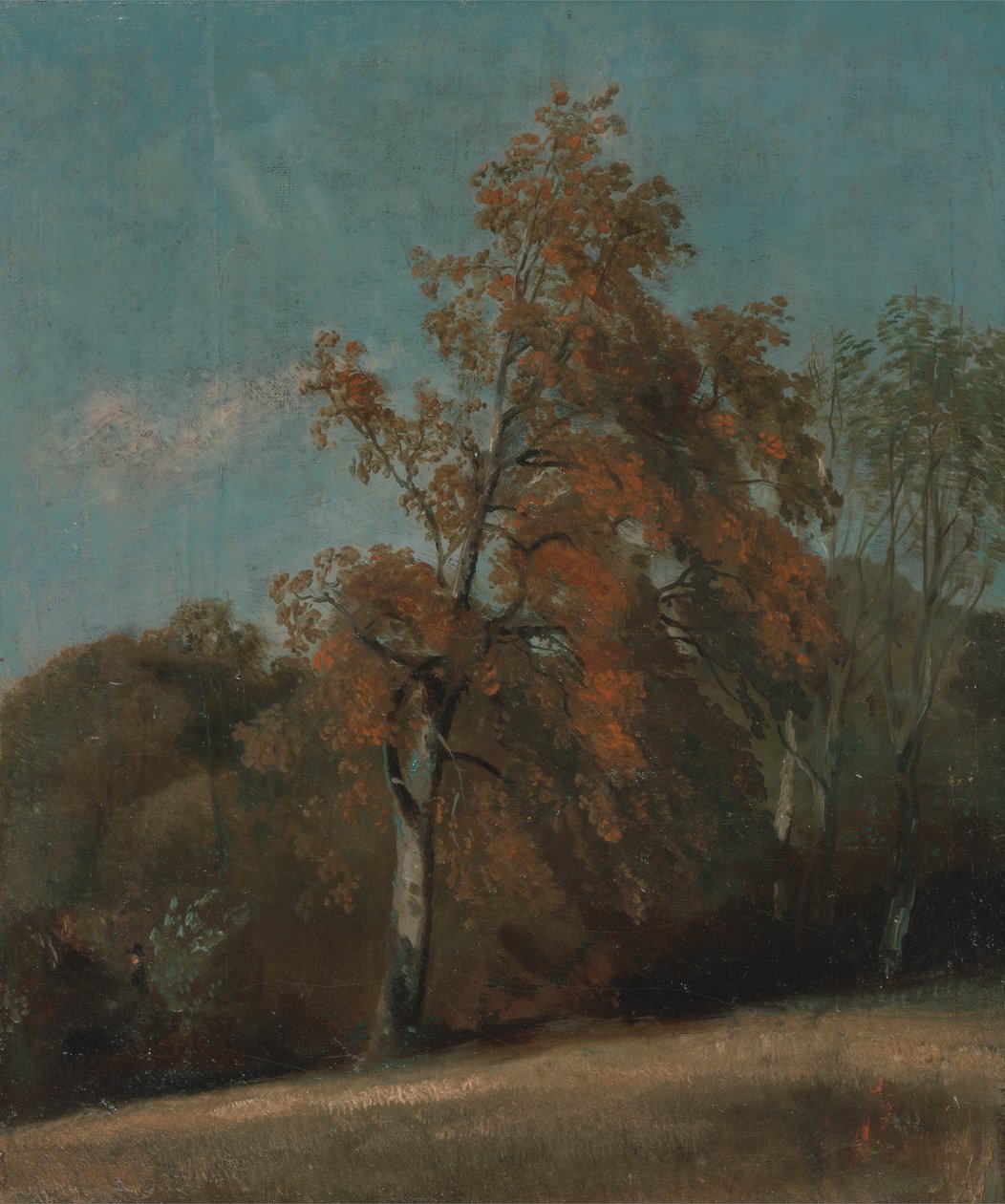 Tanulmány egy kőrisfáról alkotó: John Constable