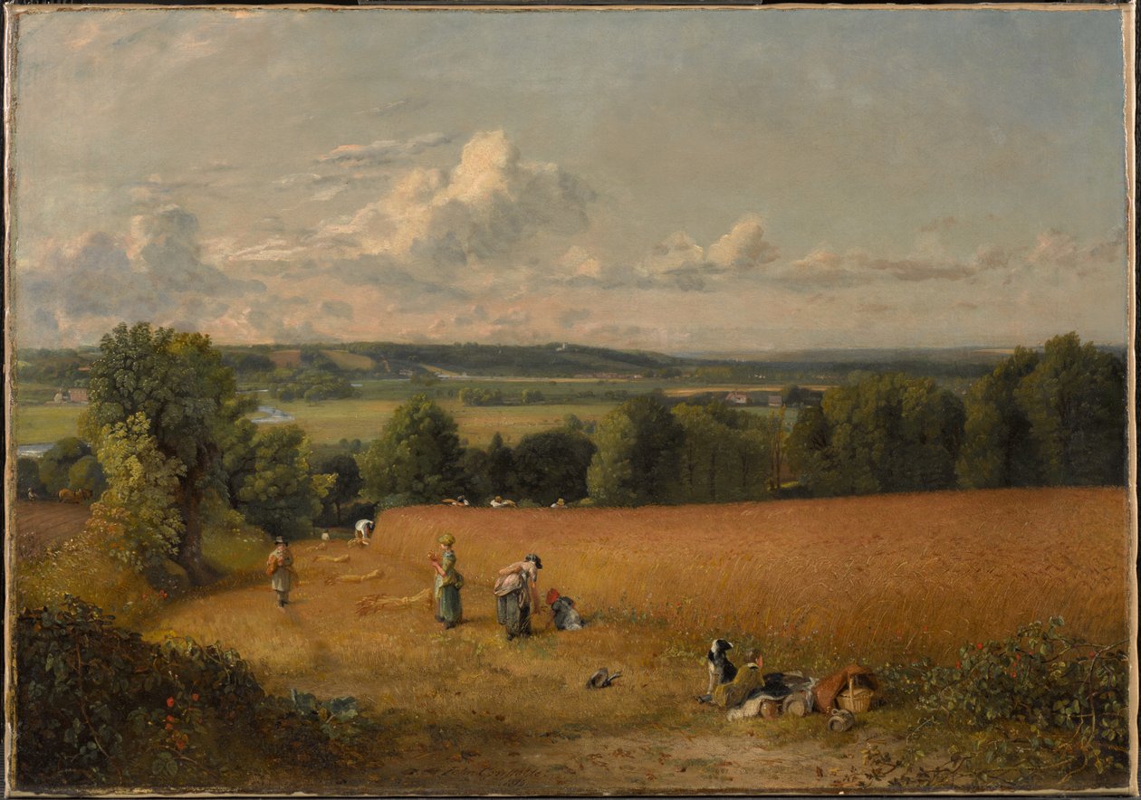 A búzamező alkotó: John Constable