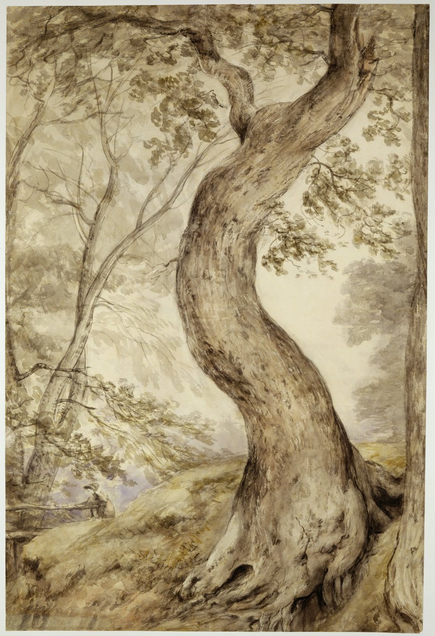 Fa Helminghamben, 1800 körül (akvarell, papír) alkotó: John Constable