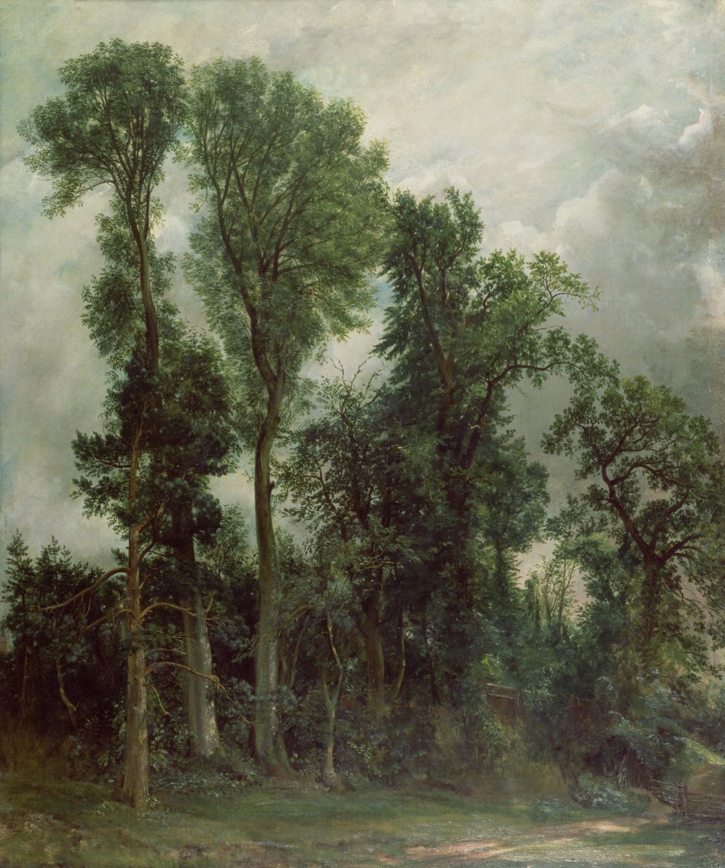 Fák Hampsteadben alkotó: John Constable