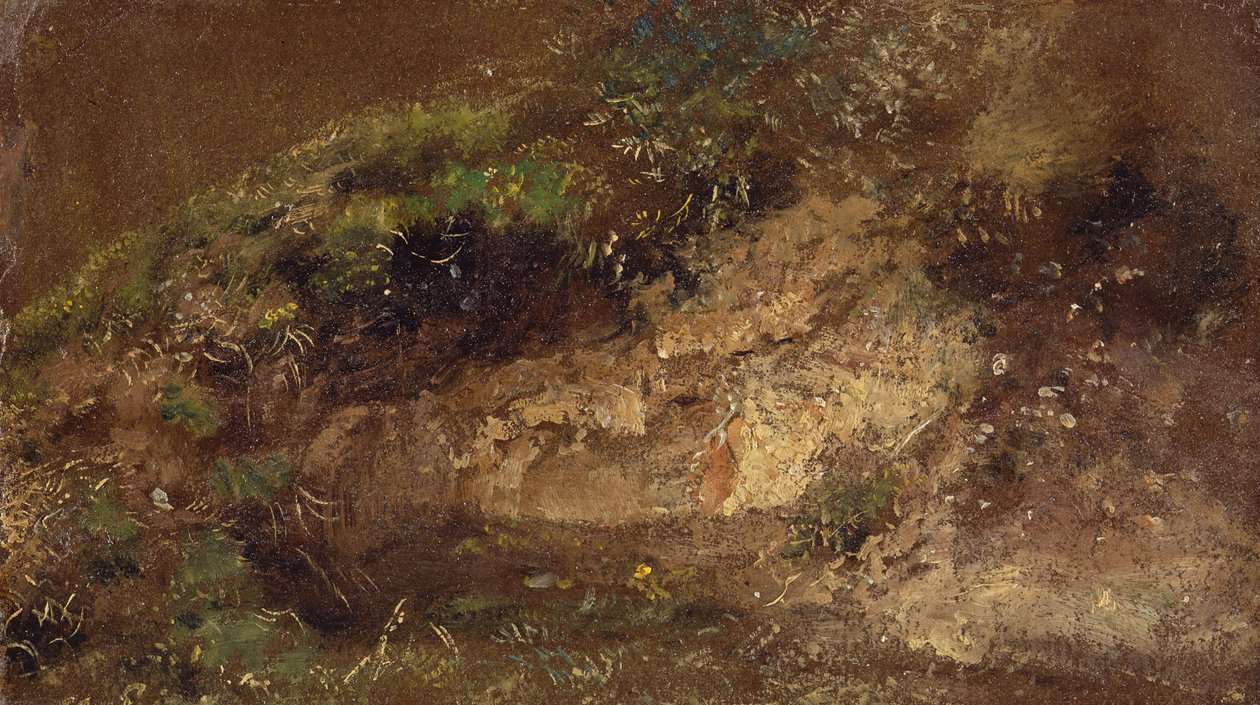 Aljnövényzet, 1821 körül (olaj, papír a táblán) alkotó: John Constable