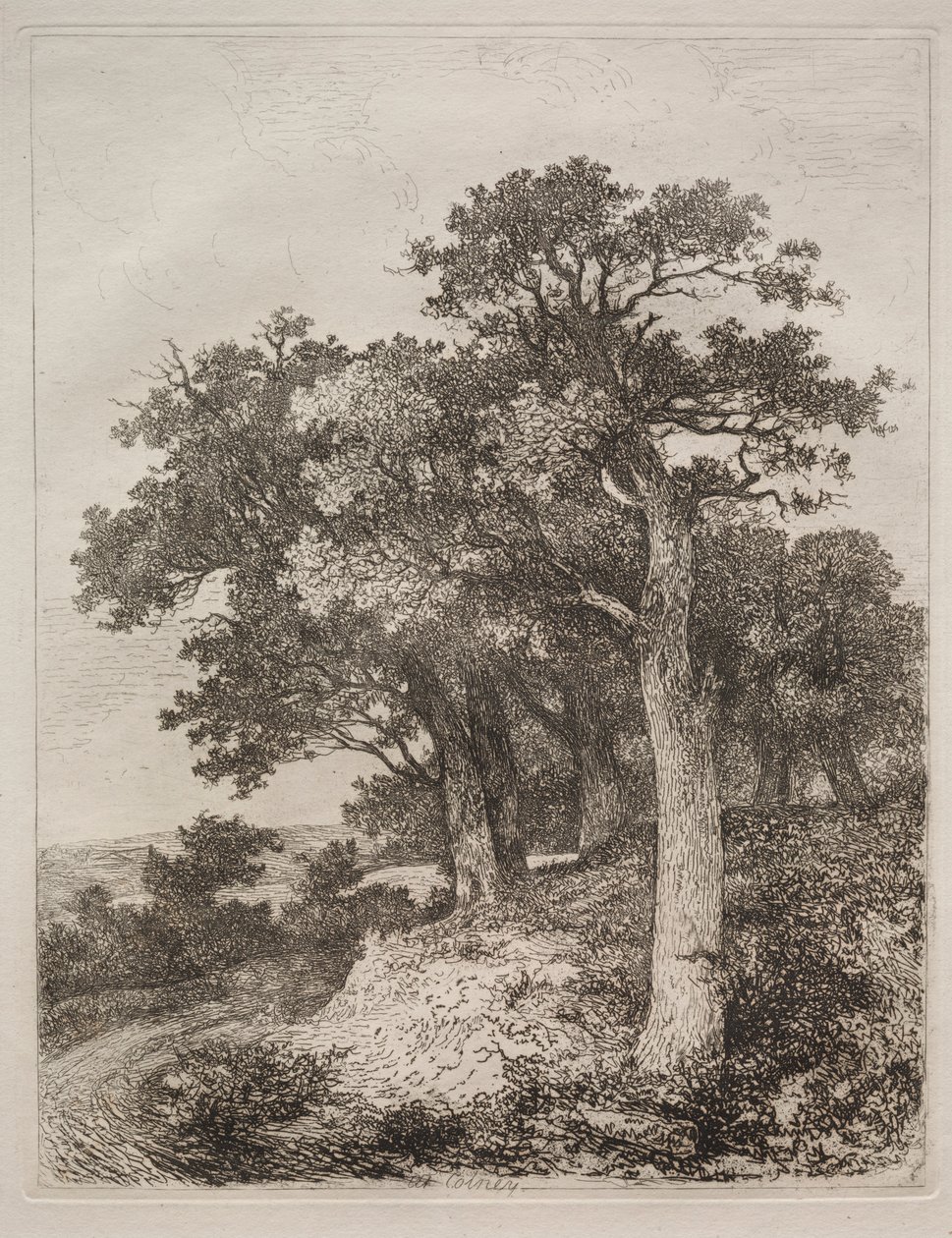 Colney-nál. alkotó: John Crome