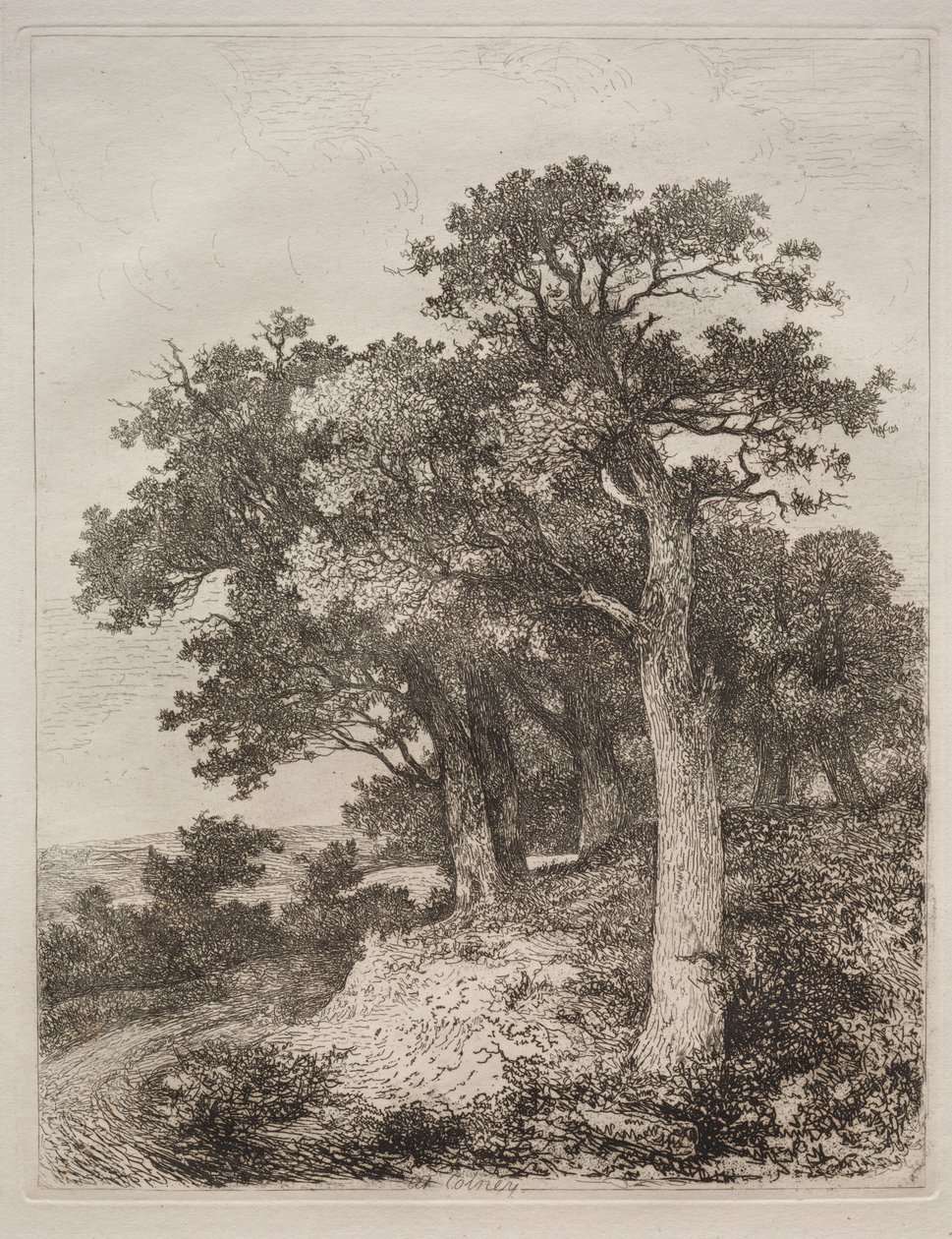 Colney-nál alkotó: John Crome