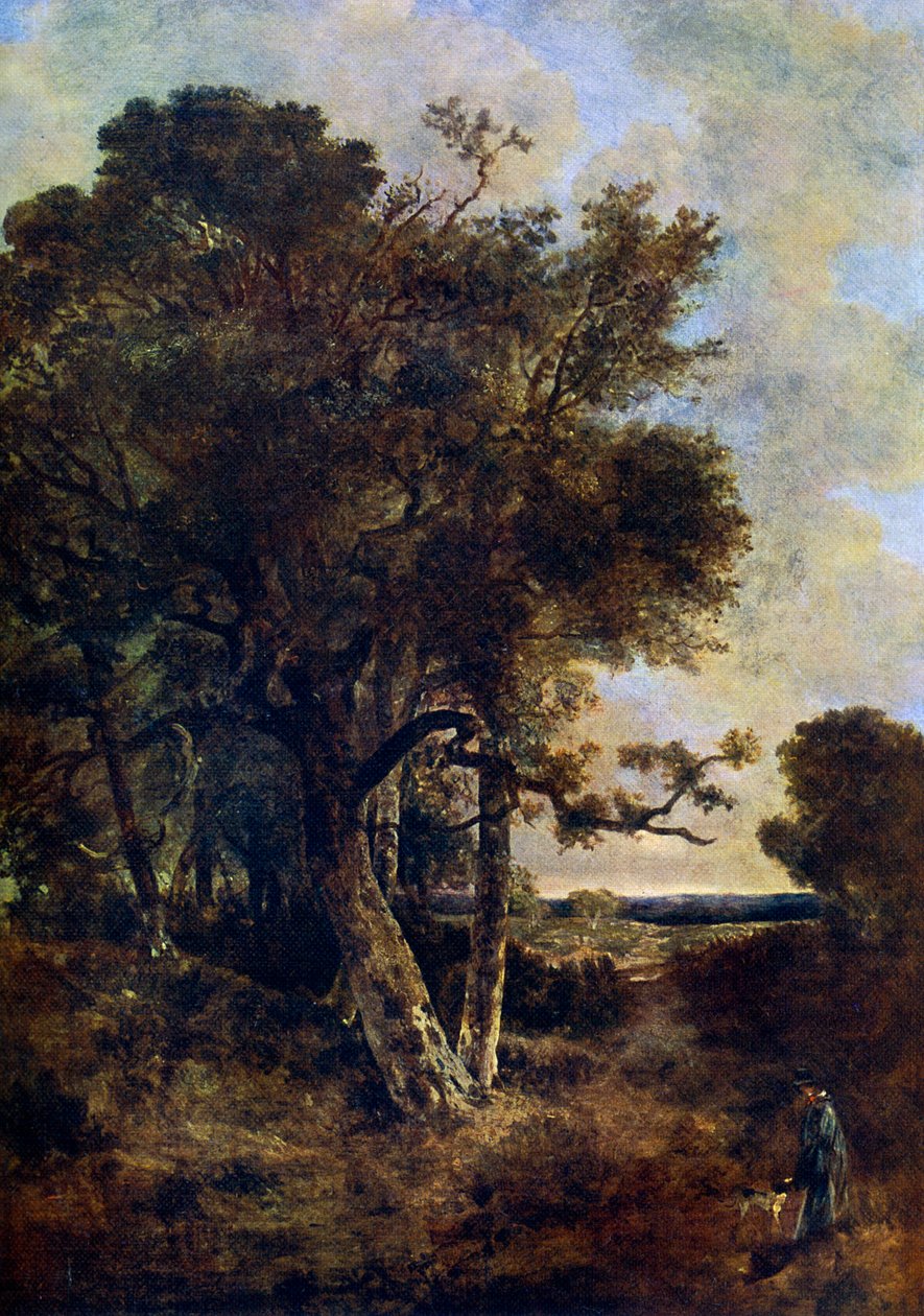 Az erdő szoknyáin, c1788-1821, 1912. alkotó: John Crome