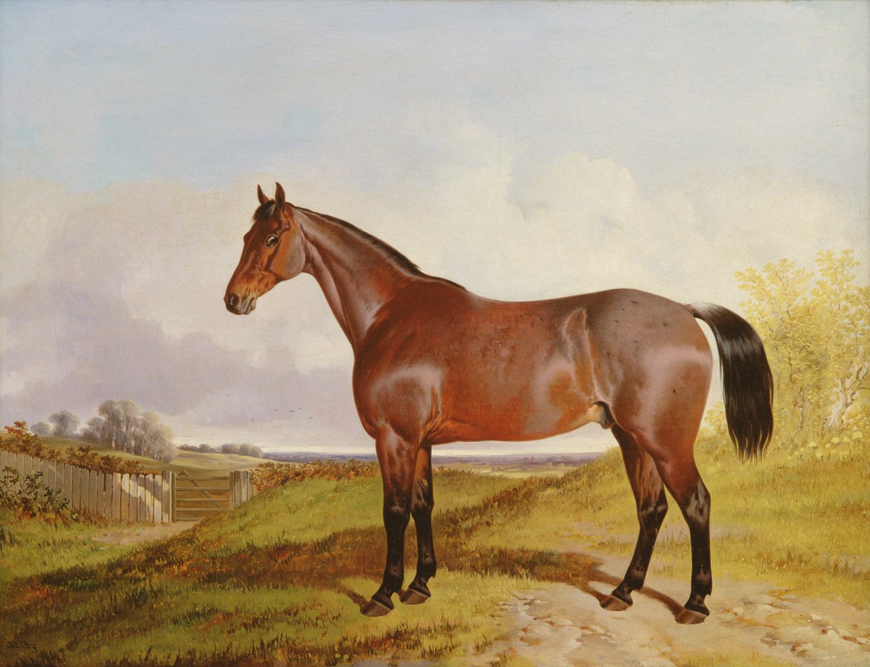 Tanulmány egy Bay Hunterről egy tájban, 1854 alkotó: John Dalby
