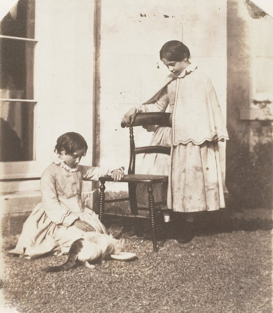 Szegény punci etetése, 1853-56. alkotó: John Dillwyn Llewelyn