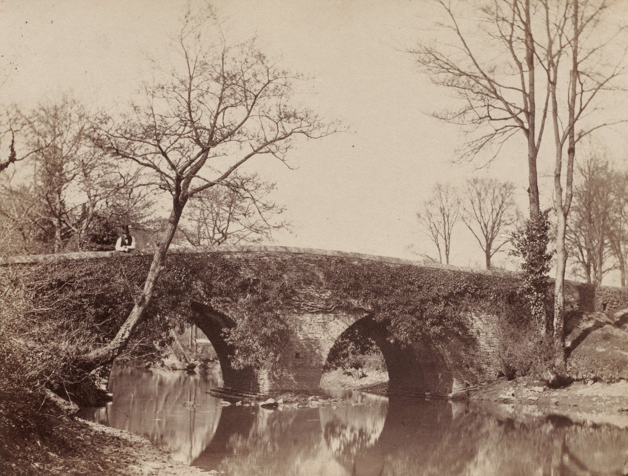 The Country Bridge Staplylton Bridge, Bristol, c. 1854-1857. alkotó: John Dillwyn Llewelyn