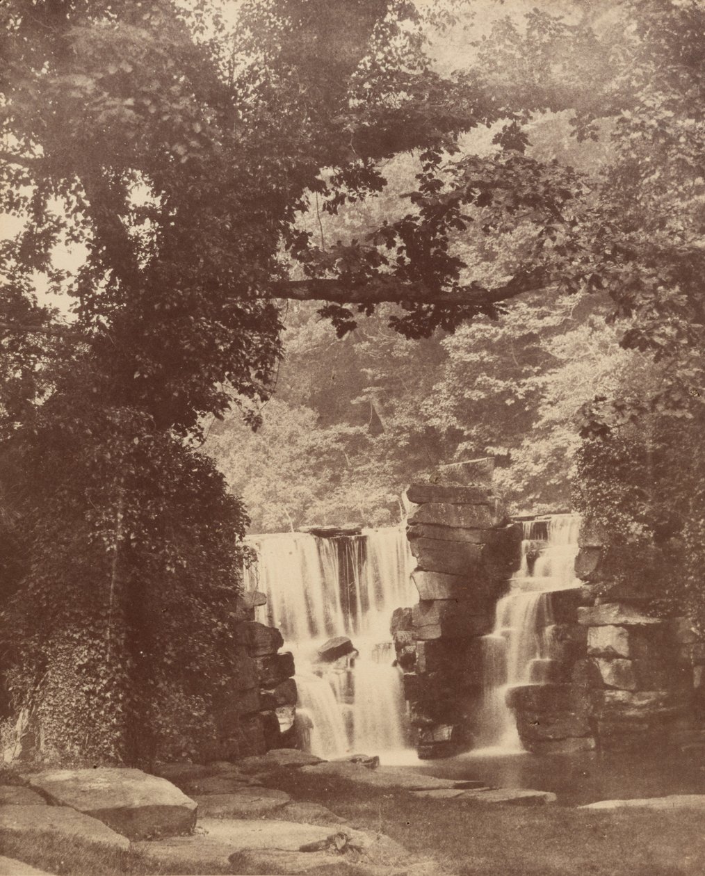 A felső vízesés, Penllergare Valley Woods,c. 1852 (fotó) alkotó: John Dillwyn Llewelyn