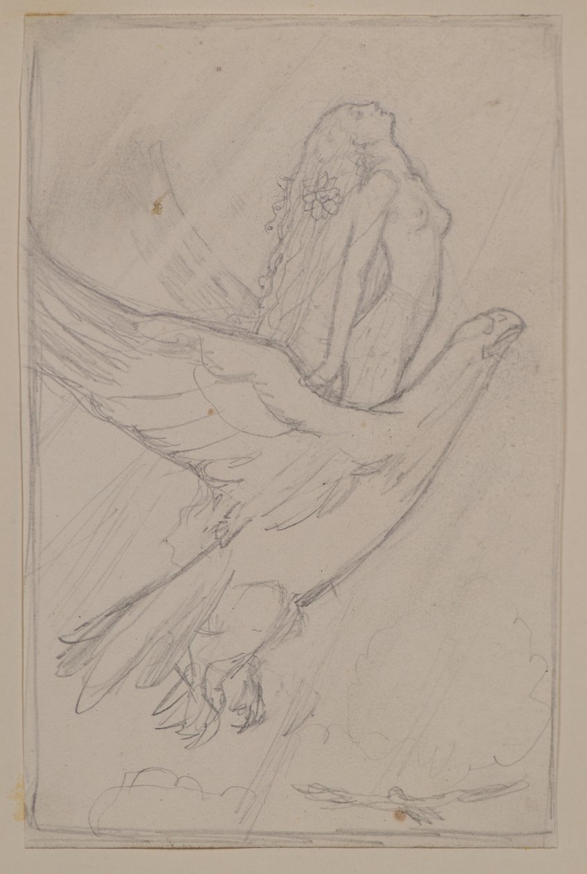 Ceyte megpróbálja elérni a napot (ceruza) alkotó: John Duncan