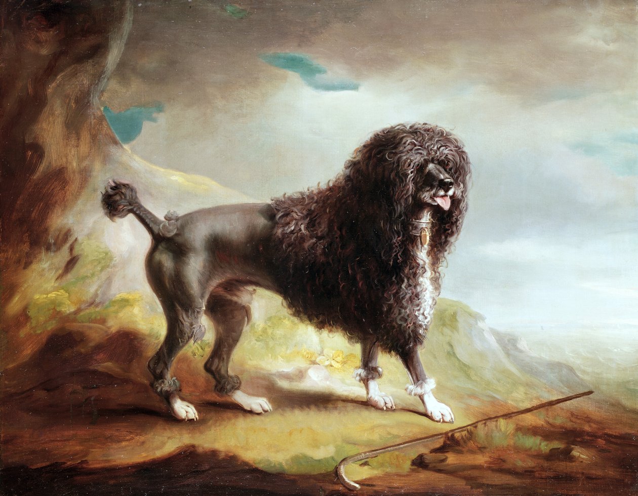 Egy nyírt vízispániel (olaj, vászon) alkotó: John E. Ferneley