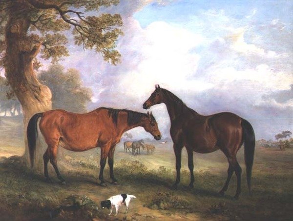 Tenyészkancák a füvön alkotó: John E. Ferneley
