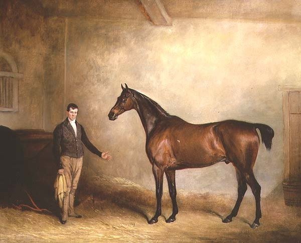 Charles Neil Hogg Bay Hunter „Claxton” című filmje alkotó: John E. Ferneley
