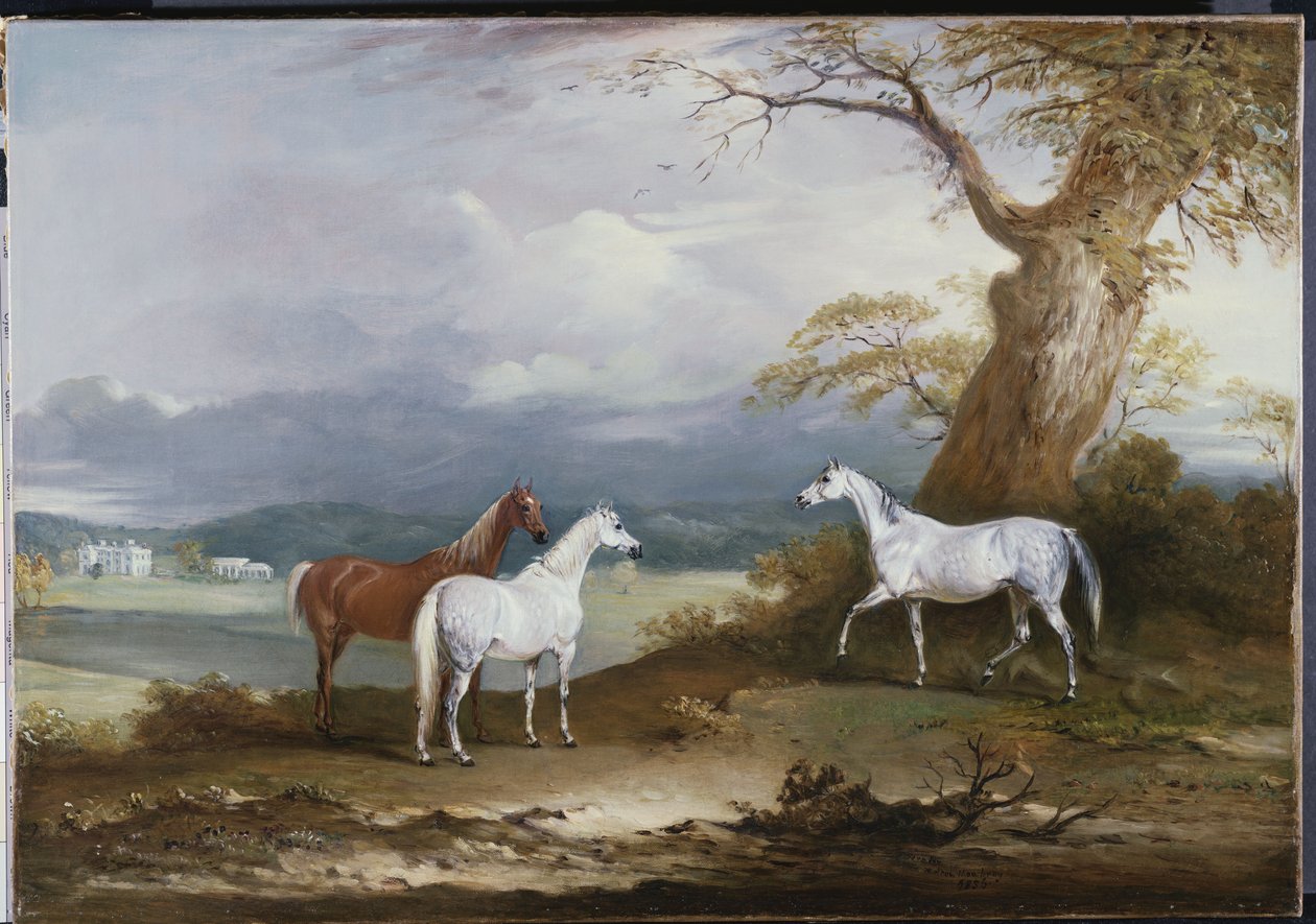 Lord Macdonald kancái a Thorpe Hall földjén, Rudston, Yorkshire, 1836 alkotó: John E. Ferneley