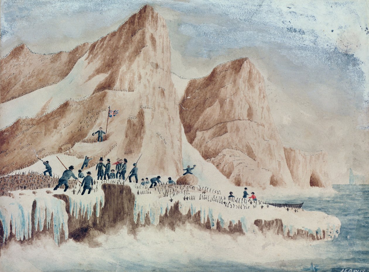 Possession Island, Victoria Land, 1841. január 11 alkotó: John Edward Davis