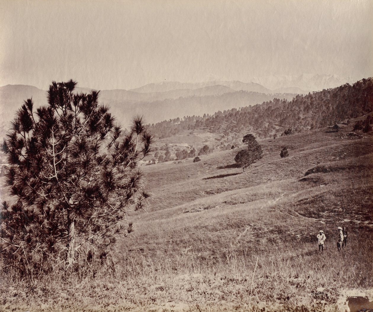 Táj fával és három emberrel, India alkotó: John Edward Saché