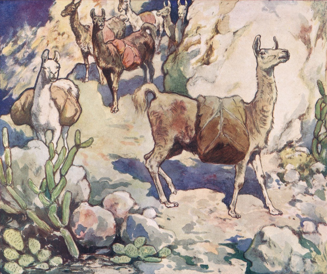 Alpakák egy hegyi ösvényen, illusztráció a „Helpers Without Hands”, Gladys Davidson, 1919-ben megjelent (színes litó) alkotó: John Edwin Noble
