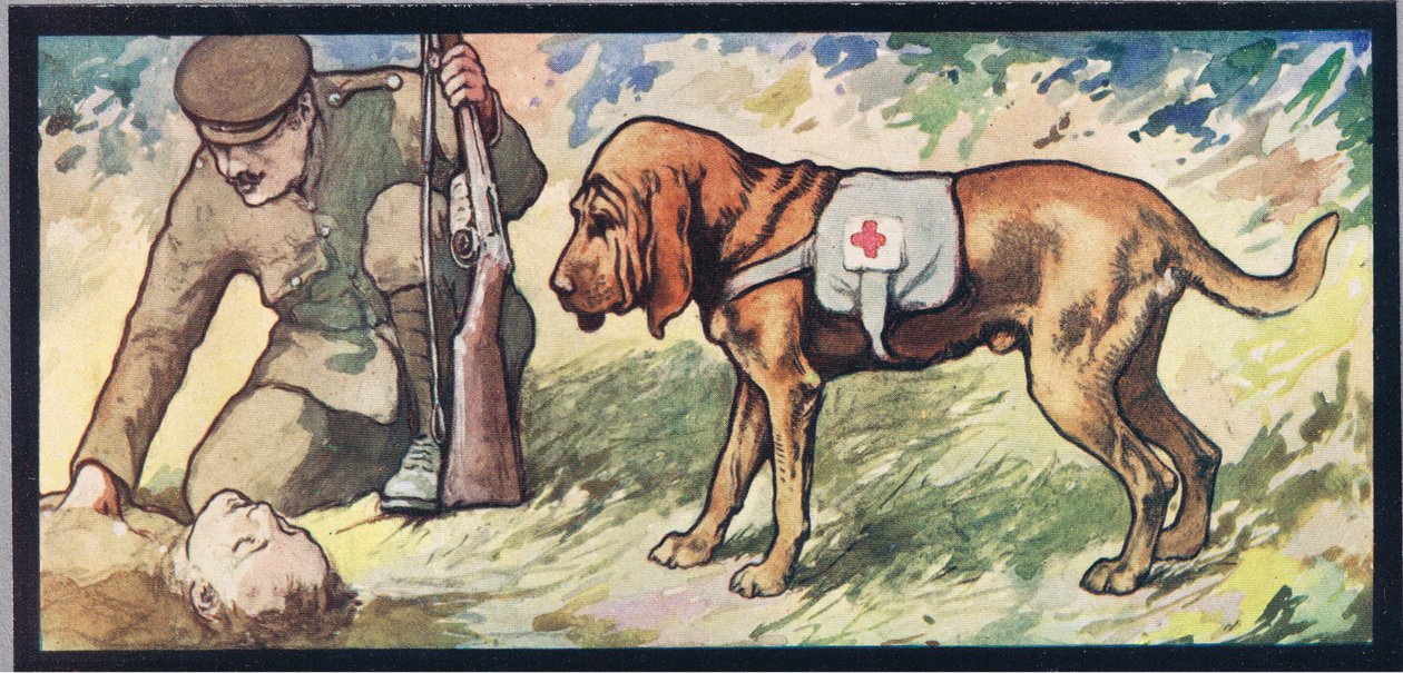 Ambuland véreb, Gladys Davidson 1919-ben megjelent „Segítők keze nélkül” című illusztrációja (színes litó) alkotó: John Edwin Noble
