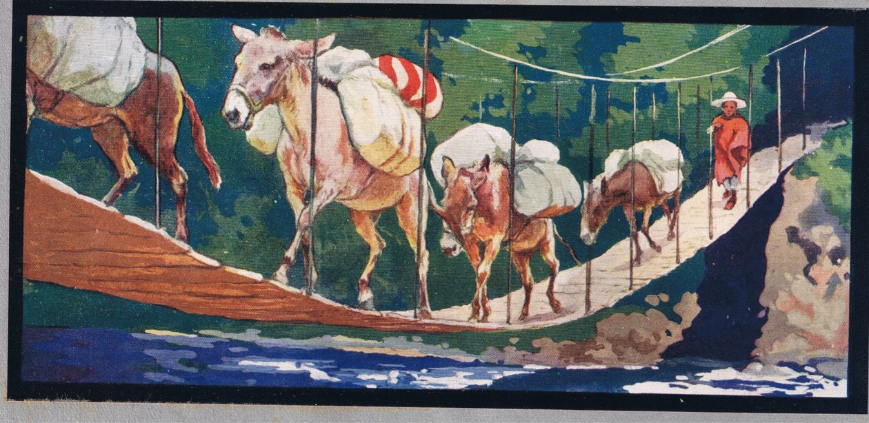 A szamarak szállítják az ellátmányt egy kötélhídon, illusztrációja Gladys Davidson 1919-ben megjelent „Segítők keze nélkül” című művéből (színes litó) alkotó: John Edwin Noble