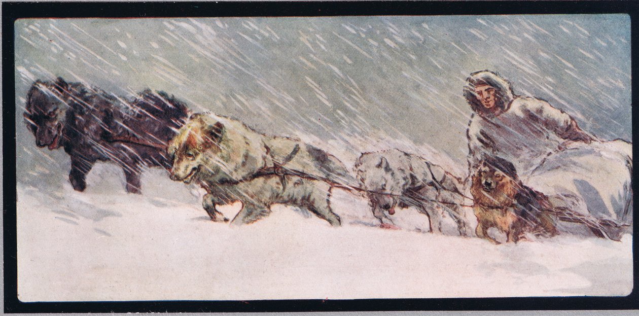 Szánkót húzó huskyk, Gladys Davidson 1919-ben megjelent „Segítők keze nélkül” című művéből (színes litó) alkotó: John Edwin Noble