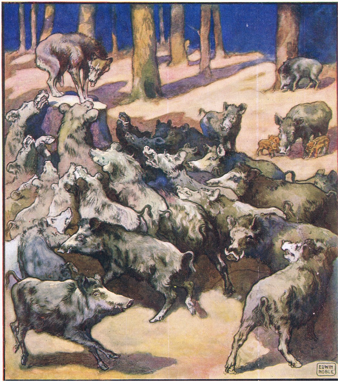 A tuskó közepén egy nagy szürke farkas állt (színes litó) alkotó: John Edwin Noble