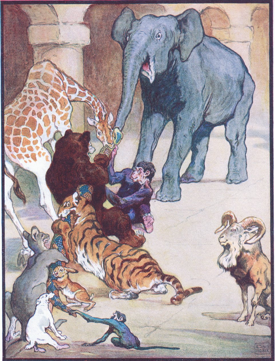 „Soha előtte vagy azóta nem volt ilyen kötélhúzás”, illusztráció a „Zum, Zum, Ziss”-hez, az „Animal Legends from Many Lands”-ből, kiadó: Raphael Tuck & Sons Ltd. (színes litó) alkotó: John Edwin Noble
